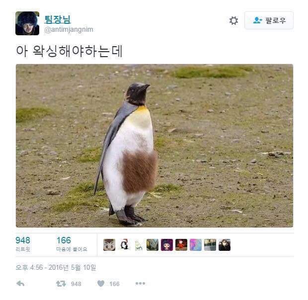 150035334623497.jpg