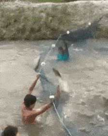 150071430449987.gif