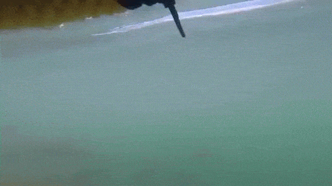 150185366155792.gif