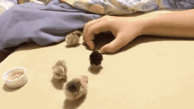 150236763191009.gif