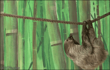 150278174725635.gif