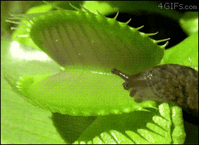 150313323297779.gif