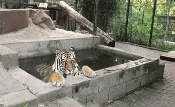 150323486165270.gif