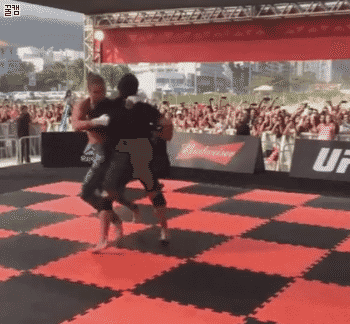150382310110237.gif
