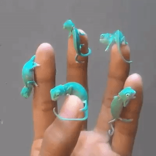 150418688185103.gif