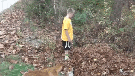 150427269133735.gif