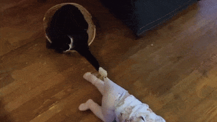 150502918171788.gif