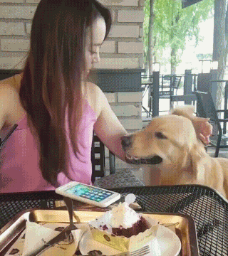 150503026965135.gif