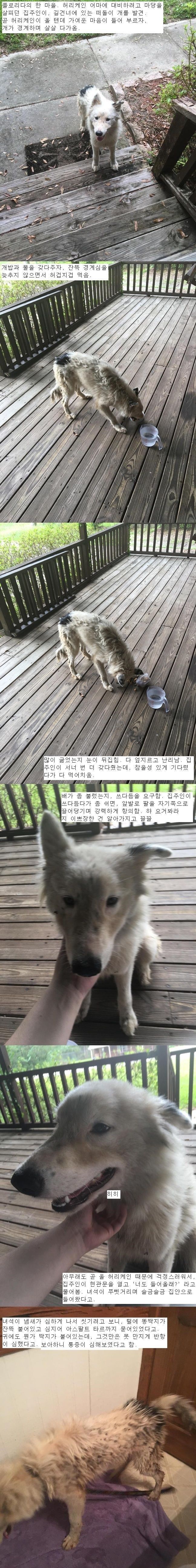 150526164053190.jpg