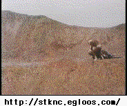 150683129683924.gif
