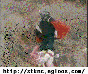 150683130657266.gif