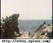 150683133054056.gif