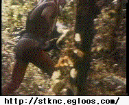 150683141492563.gif
