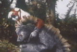 150683162311857.gif