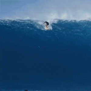 150813859124033.gif