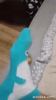 152654144390720.gif
