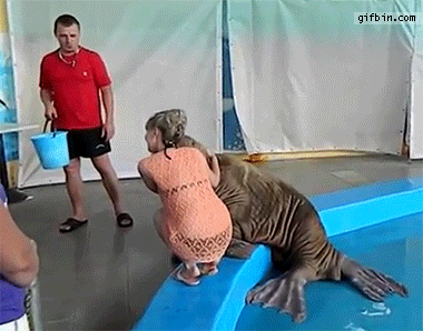 152773831048179.gif