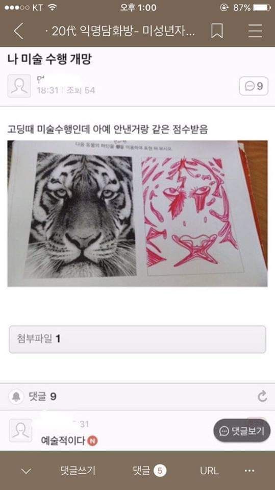 154045996041501.jpg