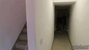 157431736933888.gif