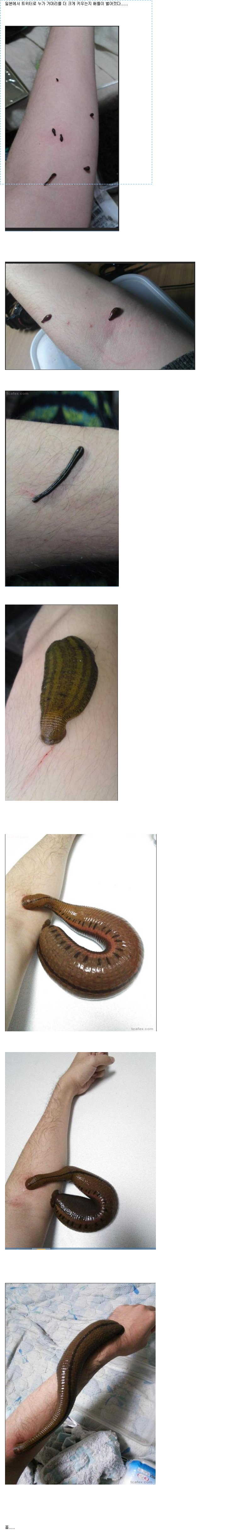 144076138396760.jpg
