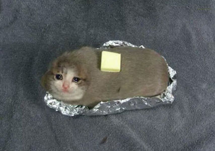 152075606985684.jpg