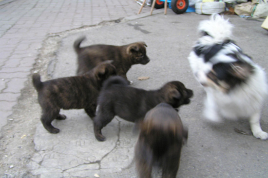 132400076737150.jpg