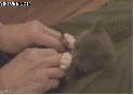 134260027966961.jpg