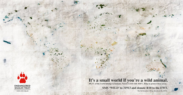 134261938848048.jpg