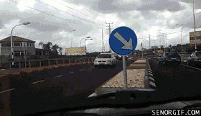 134597051666383.jpg