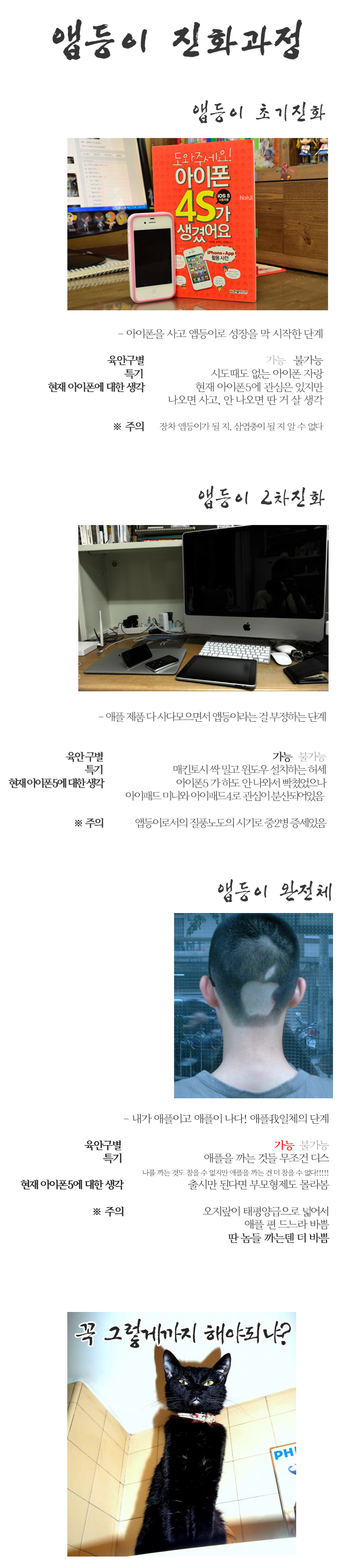 135227517732895.jpg