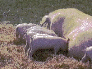 135394221782511.jpg