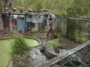 135955011363405.jpg