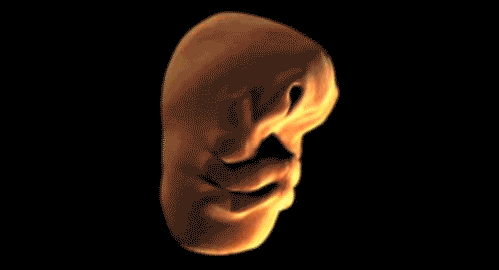 136300202160447.jpg