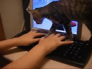 138317322791773.jpg