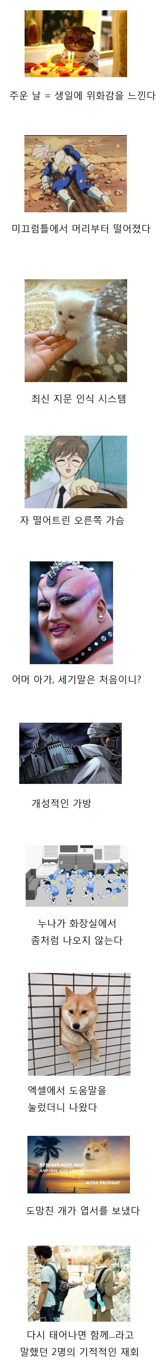 138337219757800.jpg
