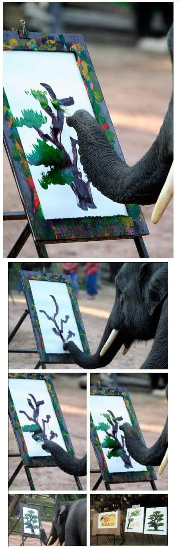 138542654243209.jpg