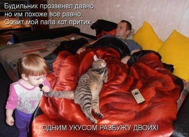 138604261793539.jpg