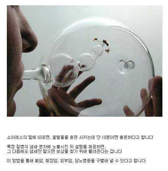 139643642981674.jpg