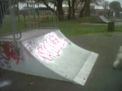 141281203486324.jpg