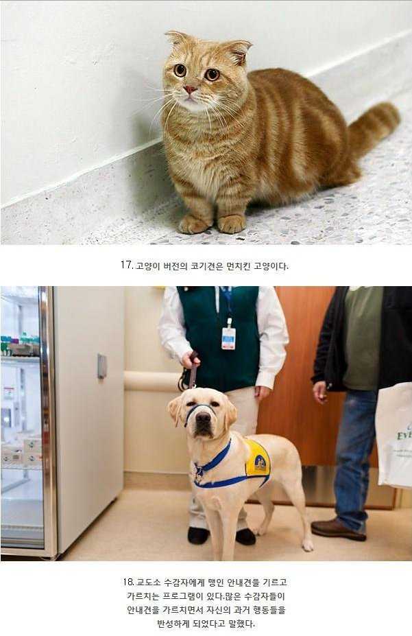 141353587950435.jpg