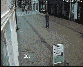 141354342442017.jpg