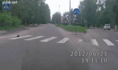 141817120368822.jpg