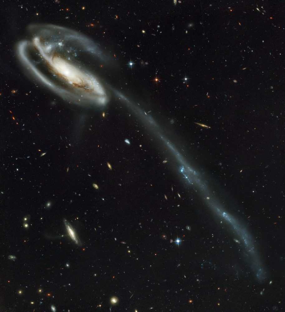 142419383865650.jpg