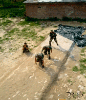 142460141063184.jpg