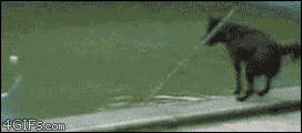 142600703090928.jpg