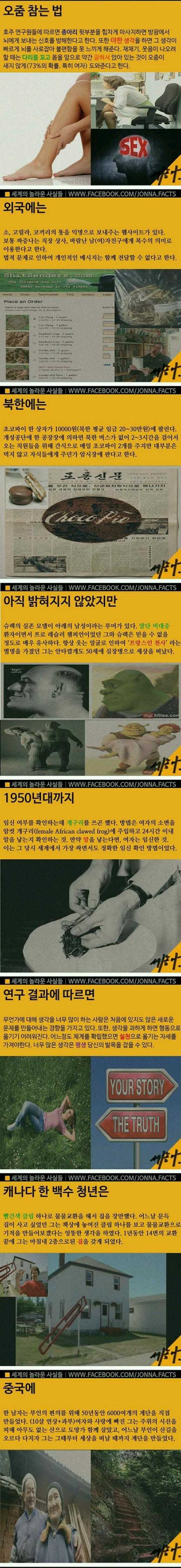 142603692873624.jpg