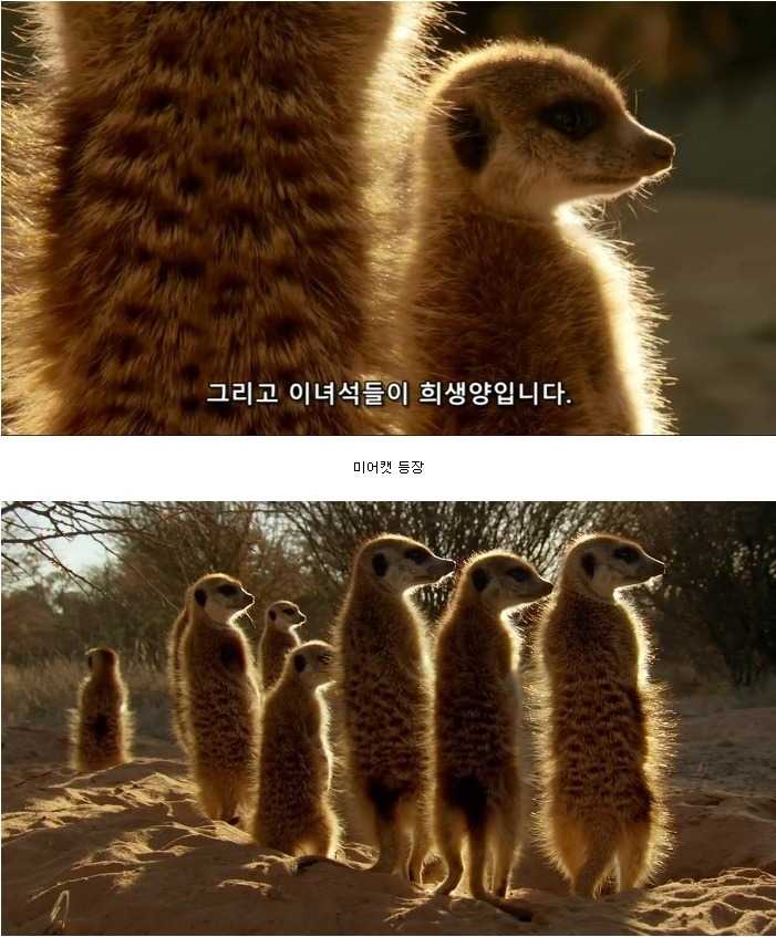 143184621761930.jpg