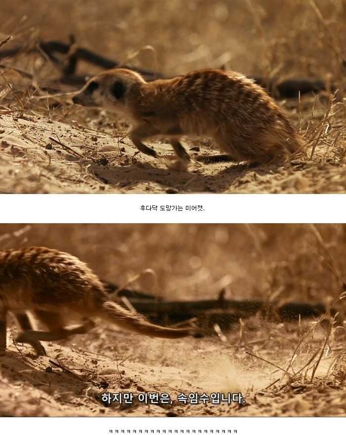 143184633043505.jpg