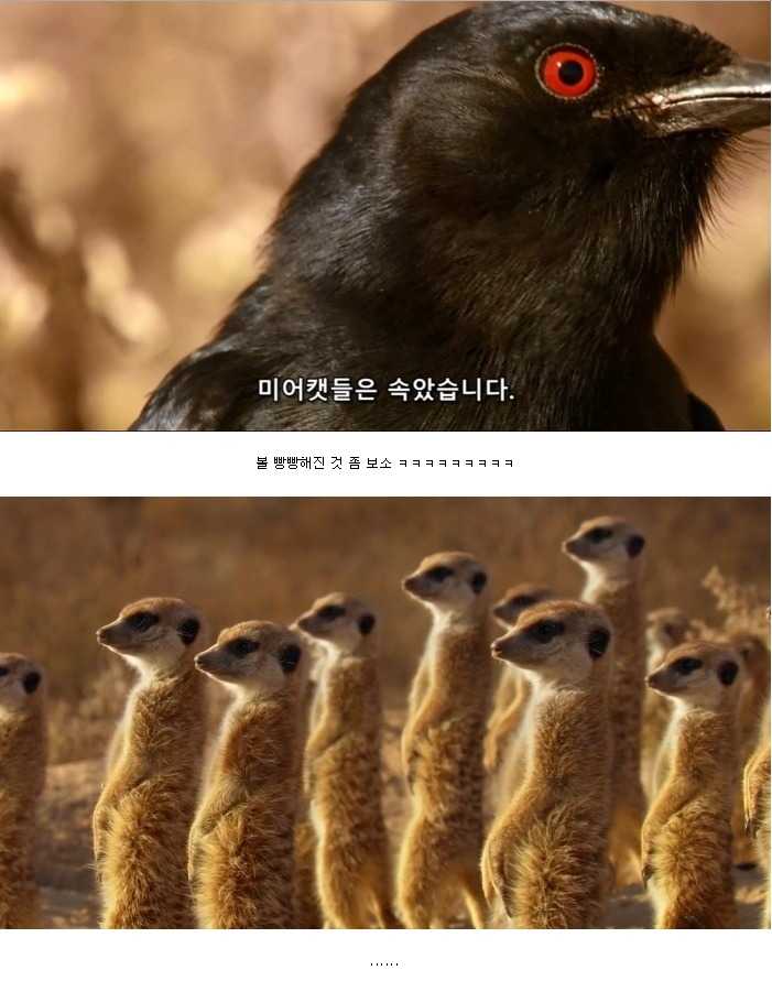 143184633746076.jpg