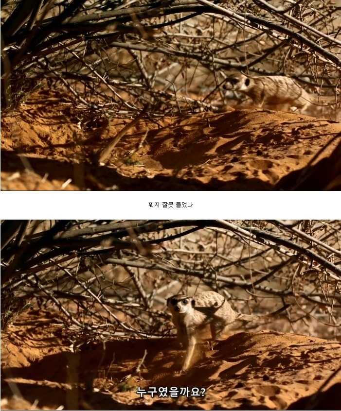 143184636525140.jpg